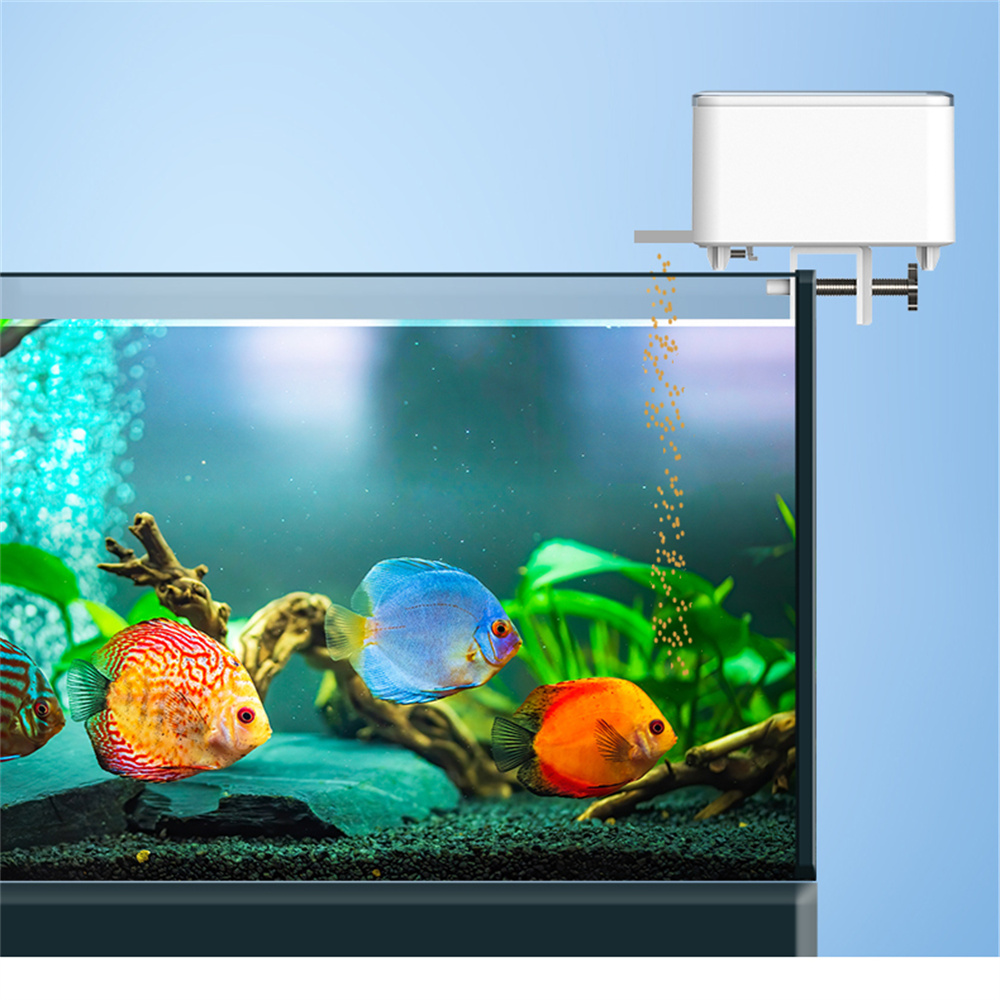 WiFi Smart Automatic Feeder Aq - Aquarium Fish Big recensione e prezzo