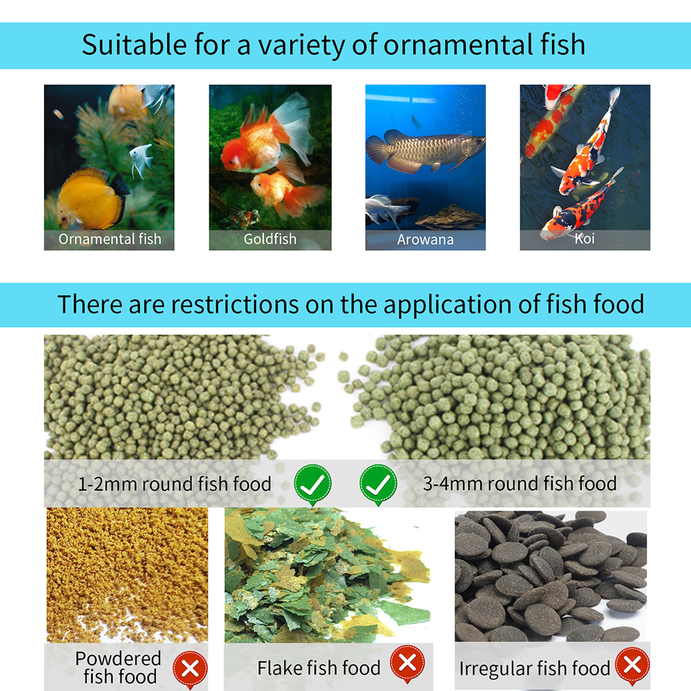 WiFi Smart Automatic Feeder Aq - Aquarium Fish Big recensione e prezzo