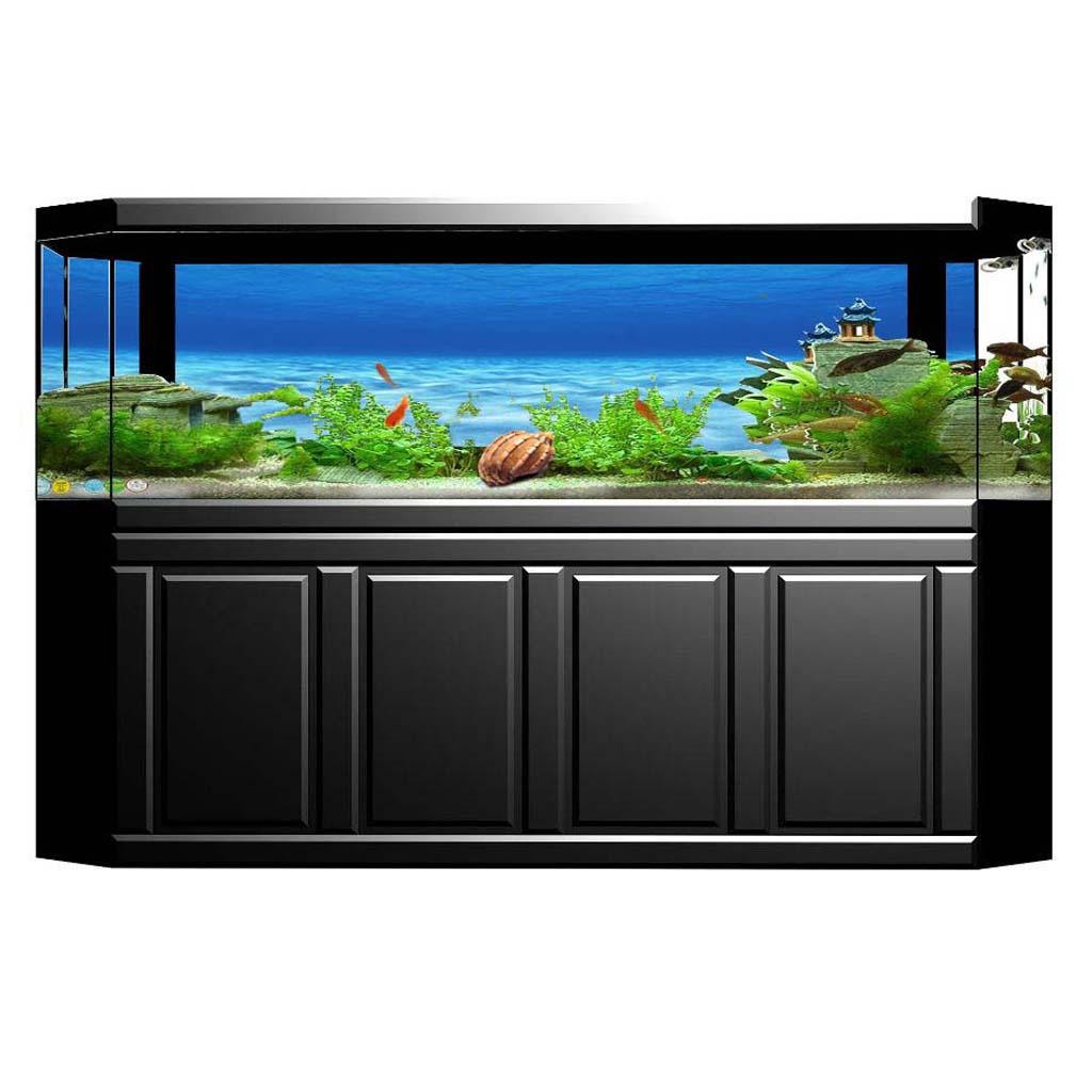 Side Decorative Aquarium Backg - Aquarium Fish Of The World recensione e prezzo