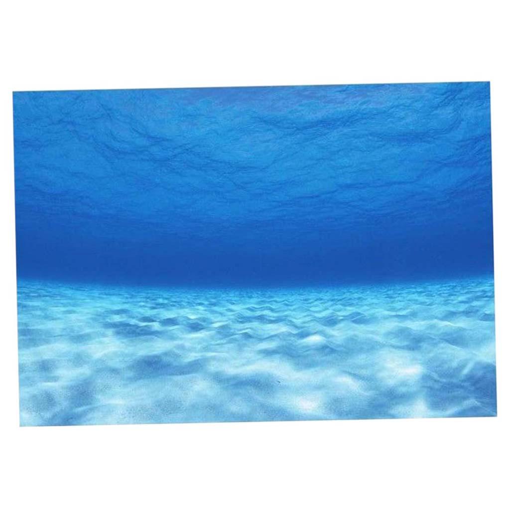 Side Decorative Aquarium Backg - Aquarium Fish Of The World recensione e prezzo