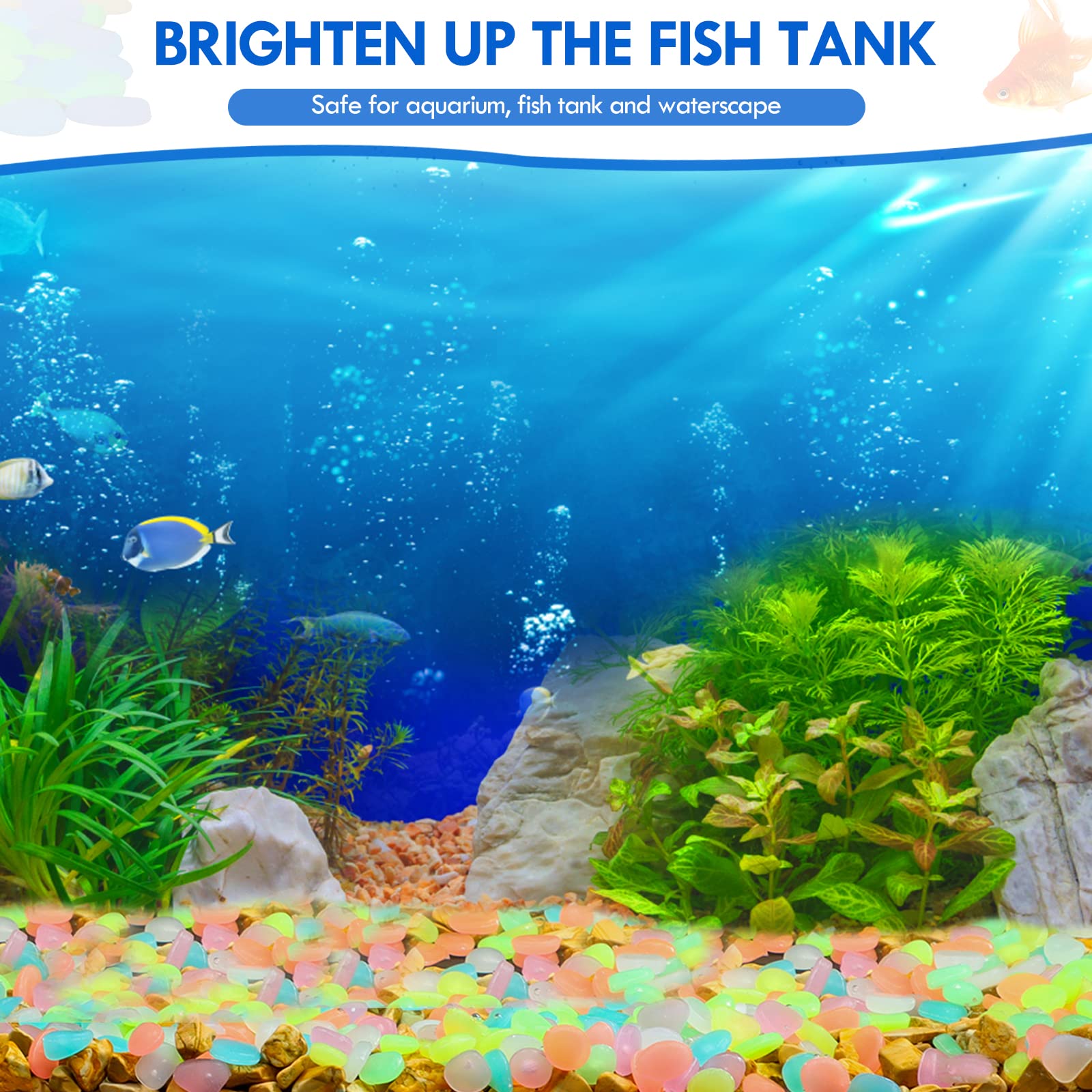 100Pcs Glow in the Dark Garden - Aquarium Fish Farm recensione e prezzo