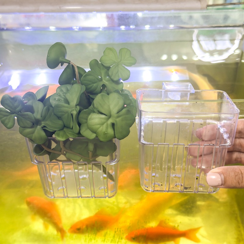 1/5pcs Aquarium Decoration Pla - Aquarium Fish Farm recensione e prezzo