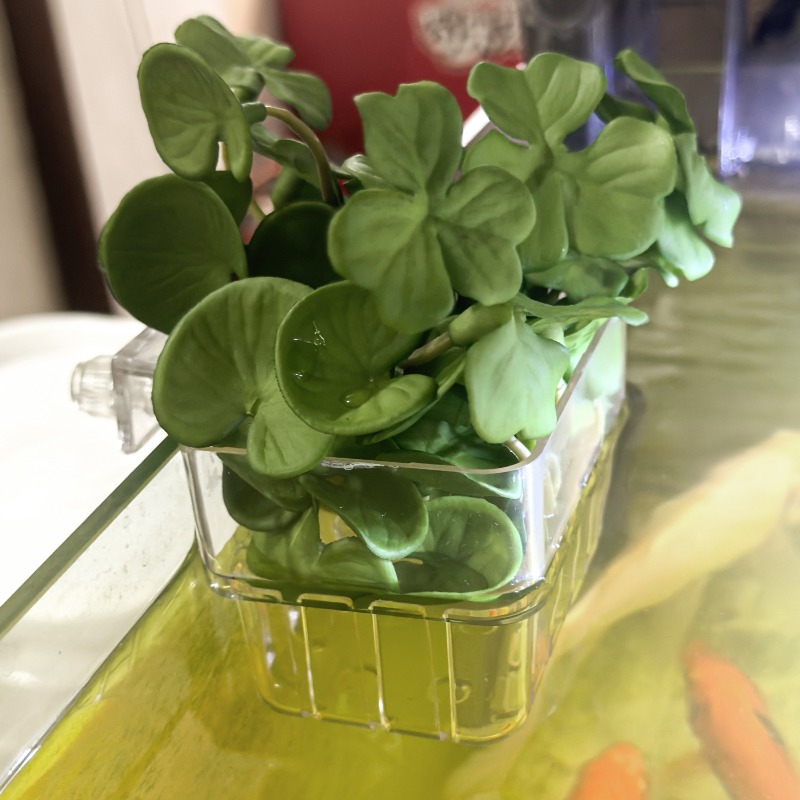 1/5pcs Aquarium Decoration Pla - Aquarium Fish Farm recensione e prezzo