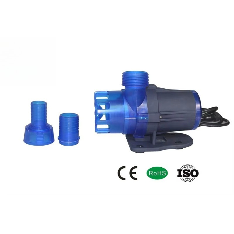 Hot Sale Extra Quiet Seawater  - Aquarium Fish For Sale recensione e prezzo