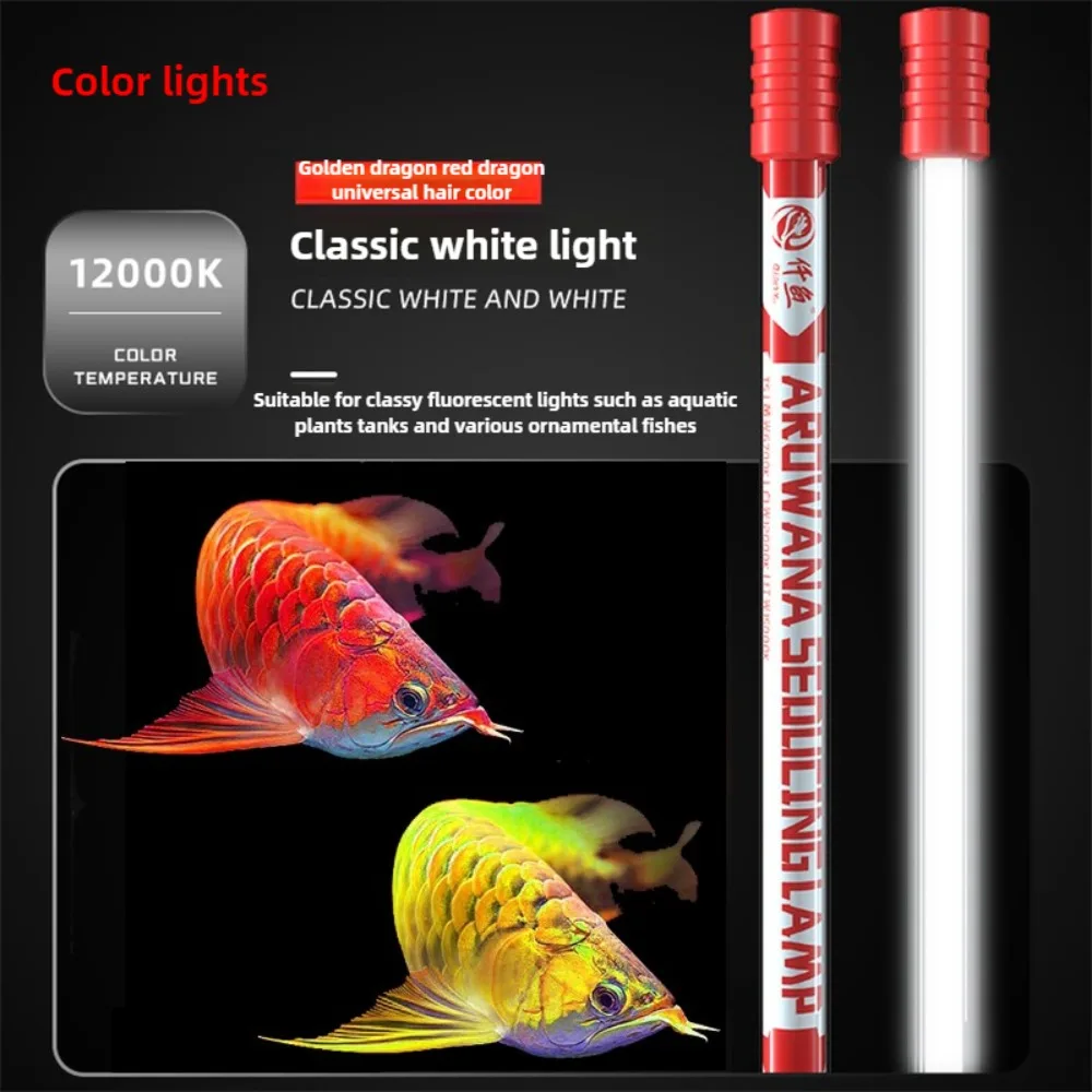LED Aquarium Light Arowana Hai - Aquarium Fish Colorful recensione e prezzo