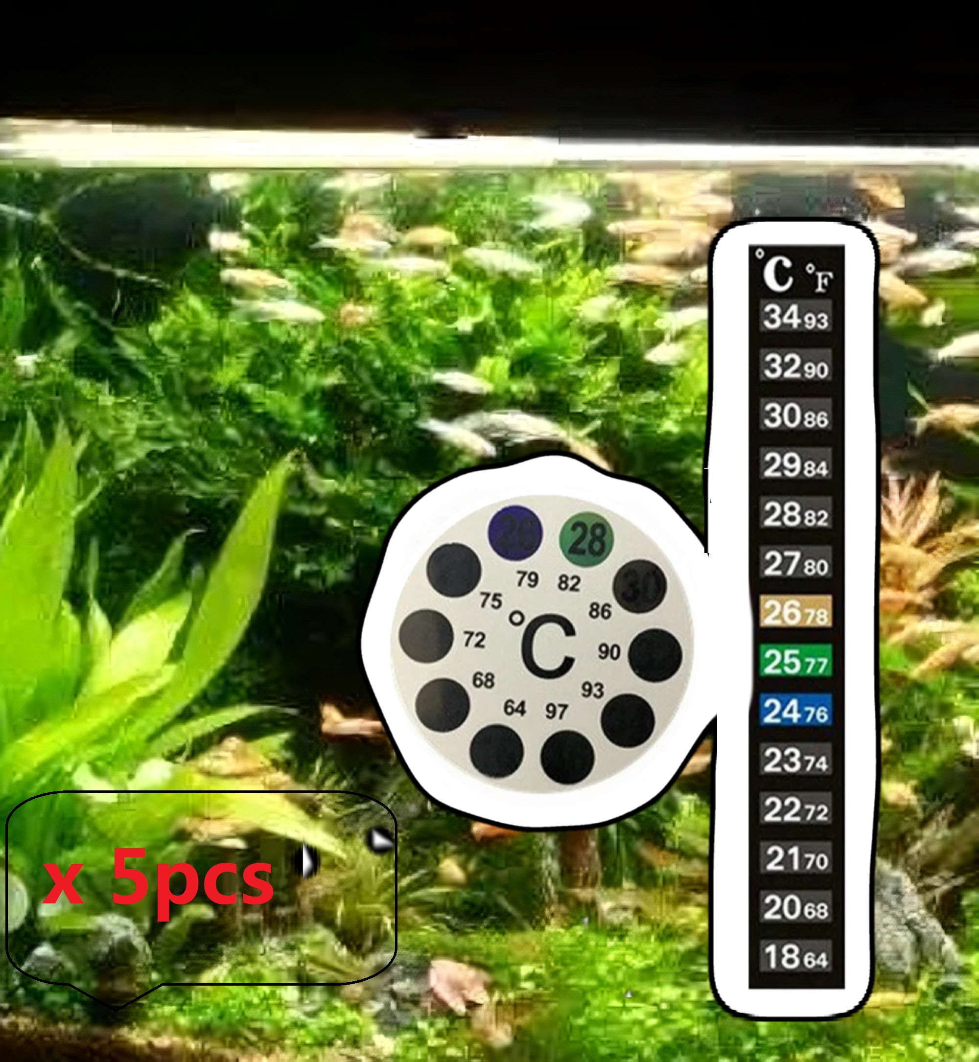 5Pcs Home Aquarium Fish Tank C - Aquarium Fish Colorful recensione e prezzo