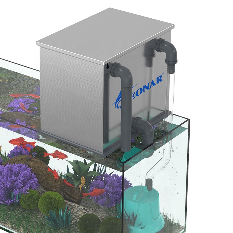 Factory Direct Sales Aquarium  - Aquarium Fish For Sale recensione e prezzo