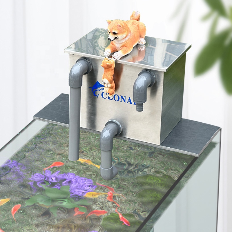 Factory Direct Sales Aquarium  - Aquarium Fish For Sale recensione e prezzo
