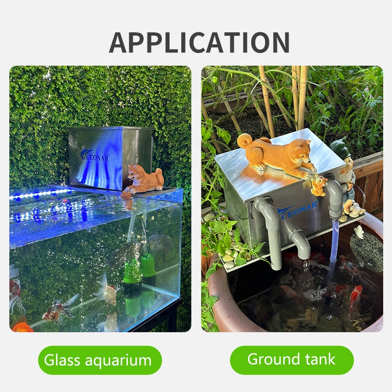 Factory Direct Sales Aquarium  - Aquarium Fish For Sale recensione e prezzo