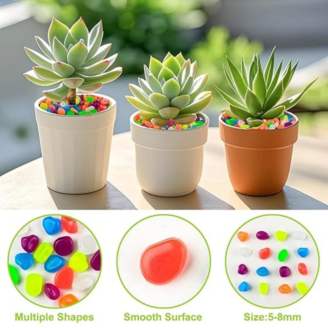 500Pcs Glow in The Dark Garden - Aquarium Fish Farm recensione e prezzo